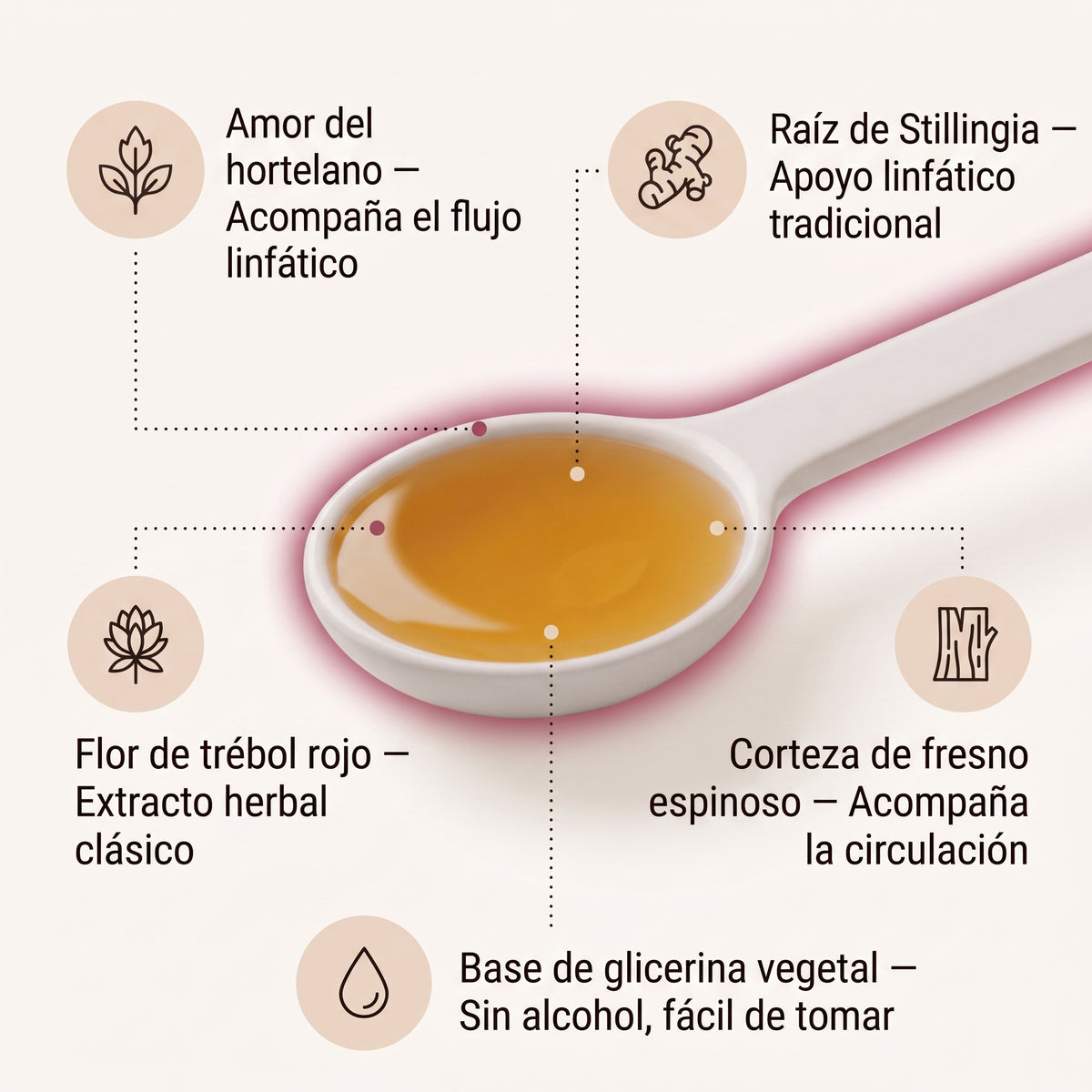 Tanovia Ligereza — Drenaje Linfático